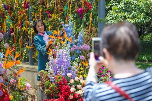 徐家汇公园20年焕新 从昔日工厂到城市森林的鲜花快闪庆典