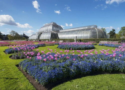 云南花卉业 以荷兰为师，构筑亚洲花都新愿景