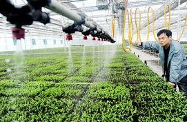 花棚与温室必备的高清图片资源推荐