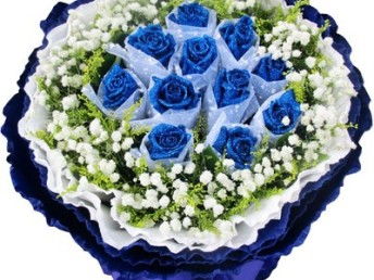愈爱愈好 精品蓝色妖姬情人节专属鲜花预订