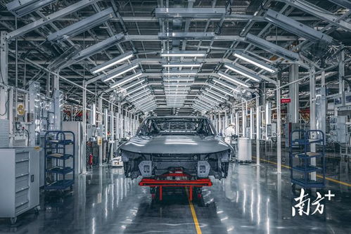 肇庆新能源产业迎丰收季 龙头项目投产在即，百亿产值龙头引领绿色转型